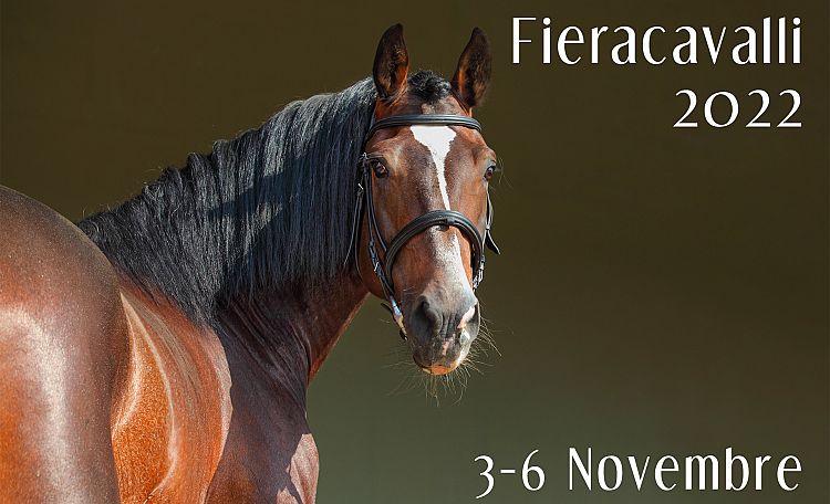 FieraCavalli 2022 - Horse Fair in Verona (dates and timetables, what to see, programme, tickets)