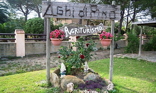 Agriturismo Aghi di Pino - Marina Di Grosseto (Grosseto)   Hunde erlaubt 