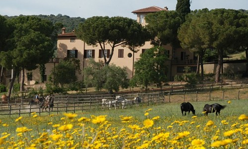 Agriturismo Corte degli Ulivi - Roselle Terme (Grosseto)   Hunde erlaubt 