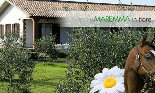 Agriturismo Turin - Alberese (Grosseto) 