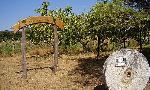 Agriturismo Casa Andreina - Castiglione Della Pescaia (Grosseto)   Hunde erlaubt 