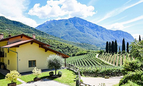 Agritur Casteller - Trento (Trento)   Degustazione vini 