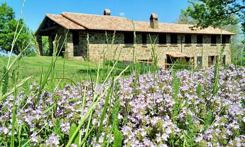 Agriturismo Poggiobello - Seggiano (Grosseto) 