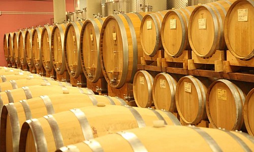 Cantina Venturini - San Pietro in Cariano (Verona) 