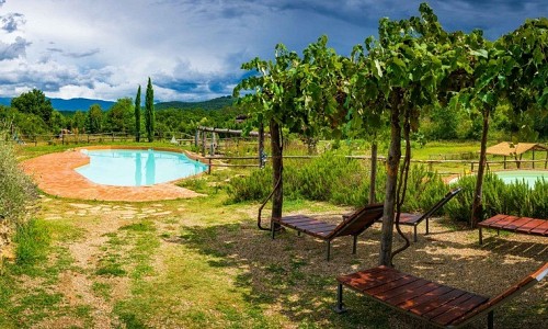 Agricampeggio Madonna di Pogi - Bucine (Arezzo) 