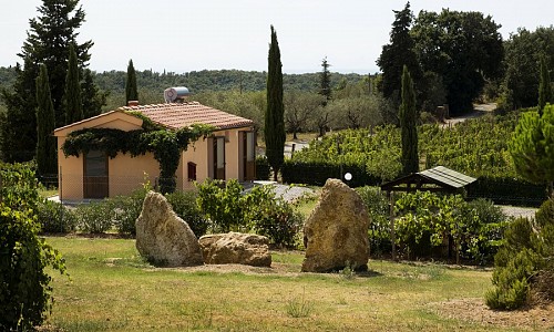 Agricampeggio La Serra del Pino - Montescudaio (Pisa)   Mare 