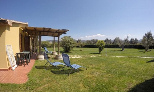 Eucaliptus Azienda agricola - Castagneto Carducci (Livorno) 