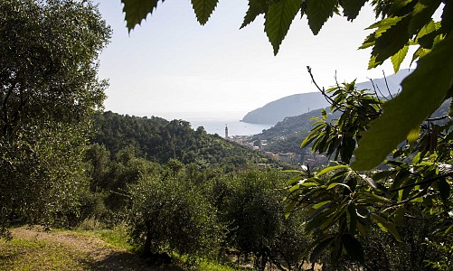 Agricampeggio Le Grigue - Moneglia (Genova)