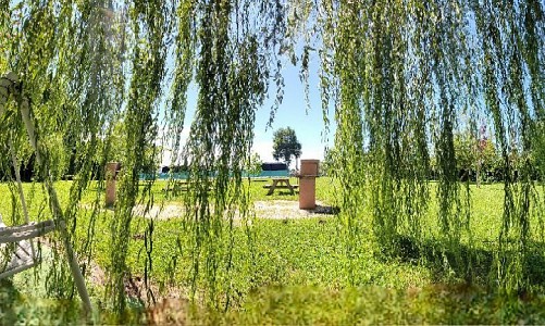 Agricampeggio Pini in Fiore - Zero Branco (Treviso) 
