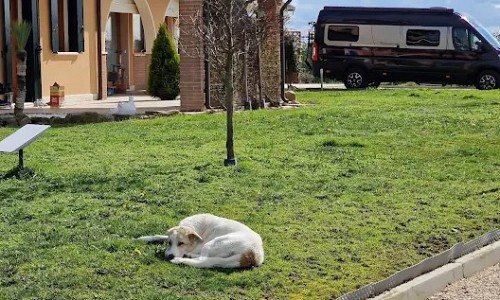 Agricampeggio Mery - Codevigo (Padova)   Mare 