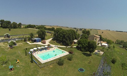 Tenuta Tredici Ulivi - Senigallia (Ancona) 