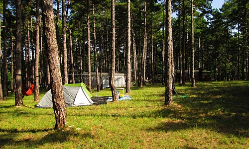 Agricamping La Pineta - Apiro (Macerata) 