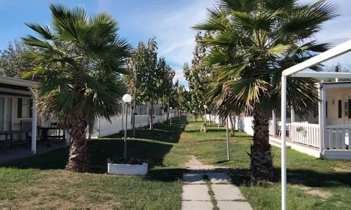 Mare e Sole RO.SI - Roseto degli Abruzzi (Teramo)   Mare 