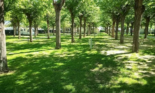 Agricampeggio Mare Nostrum - Roseto degli Abruzzi (Teramo)   Mare 