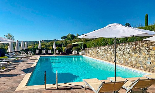 Gatto Bianco Tizzauli - Montespertoli (Firenze)