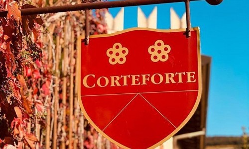 Agriturismo Corteforte - Fumane di Valpolicella (Verona)   Wine tasting 