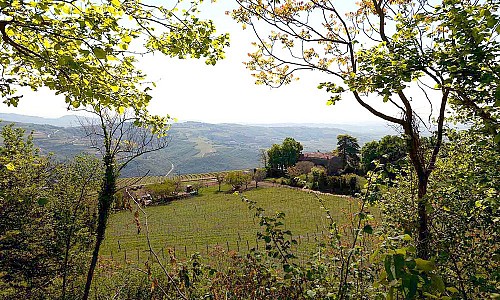 Podere Castagné - Mezzane di Sotto (Verona)   Exclusive Charming Farmhouse 