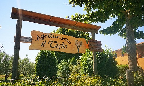 Agriturismo Il Tiglio - Marina Di Grosseto (Grosseto) 